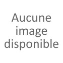 Anciens insignes